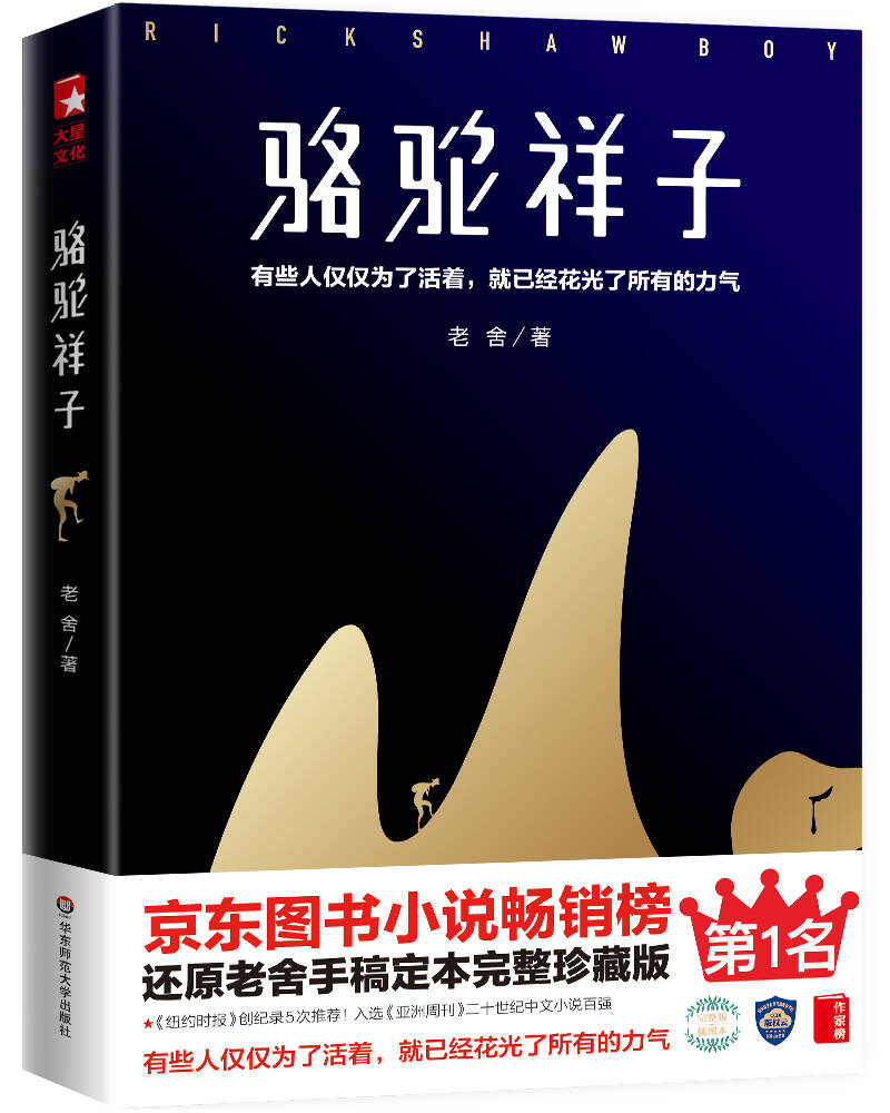 十款经典的中国近代小说排行榜