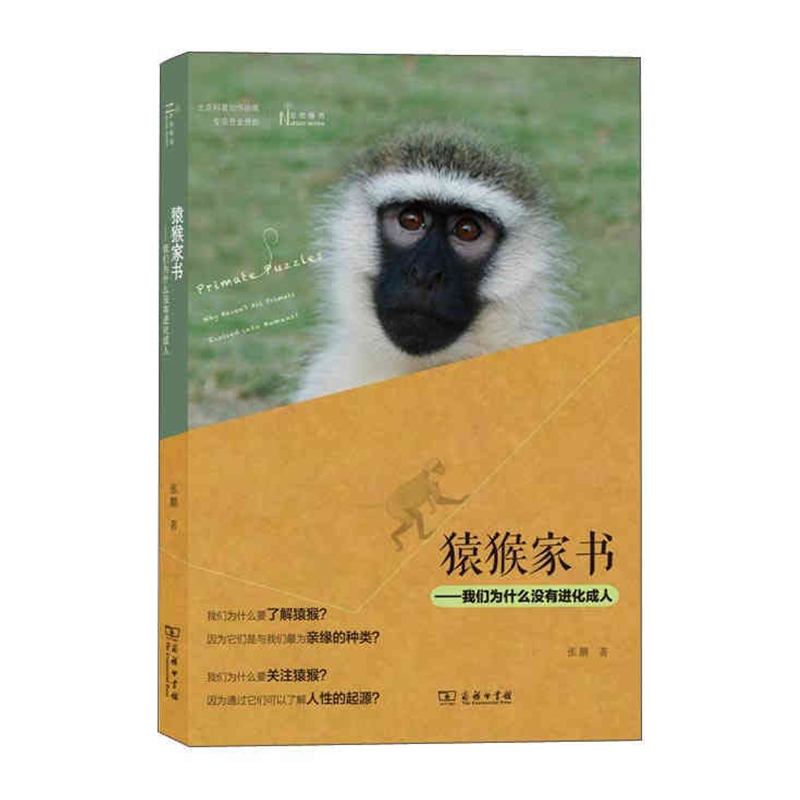 猿猴家书