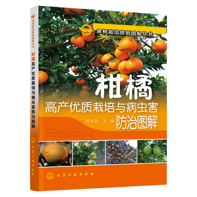 柑橘高产优质栽培与病虫害防治