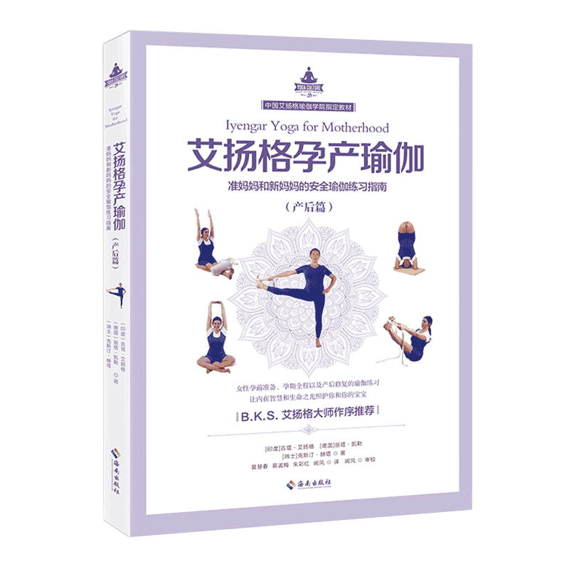 海南出版社 艾扬格孕产瑜伽