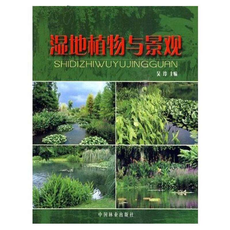吴玲 著：湿地植物与景观