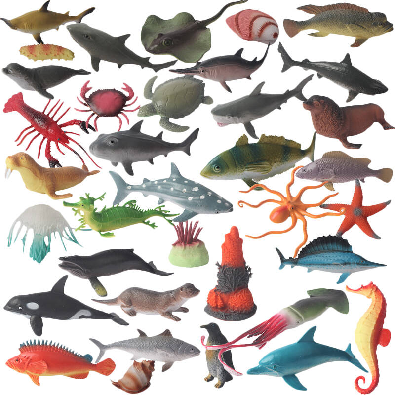 智尊 海洋动物模型