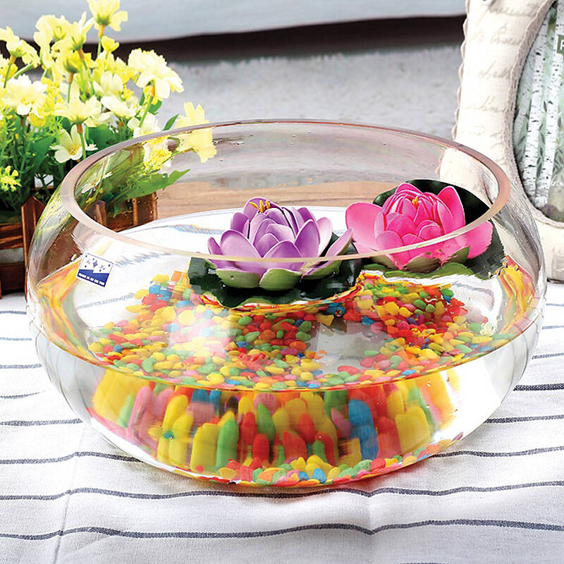 甜柠檬 创意透明圆形鱼缸