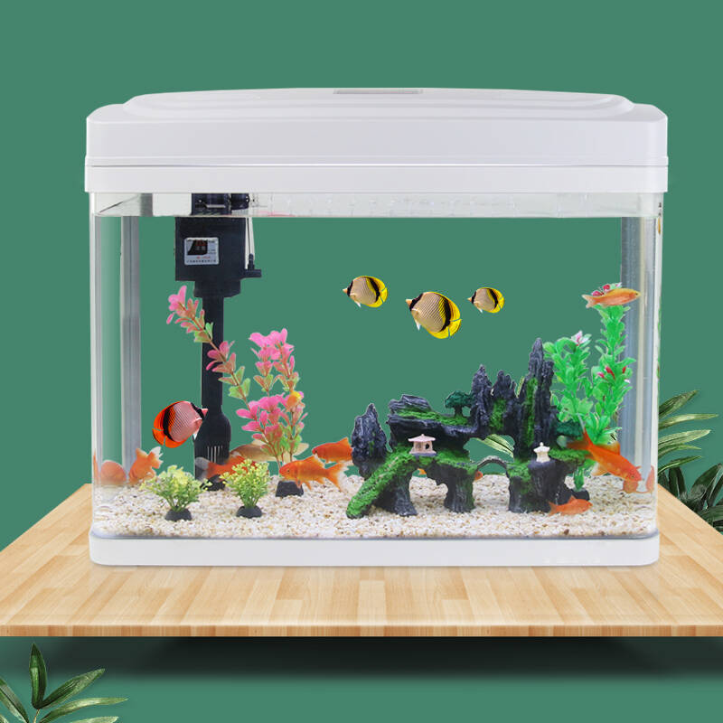 绿伴 家用免换水玻璃生态鱼缸