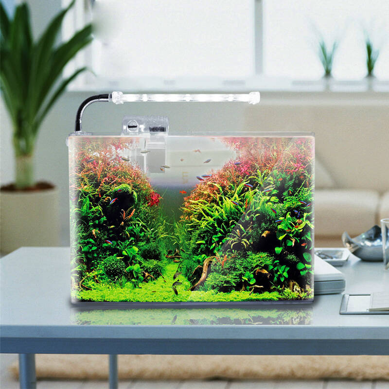 海星 桌面透明热弯方形玻璃鱼缸
