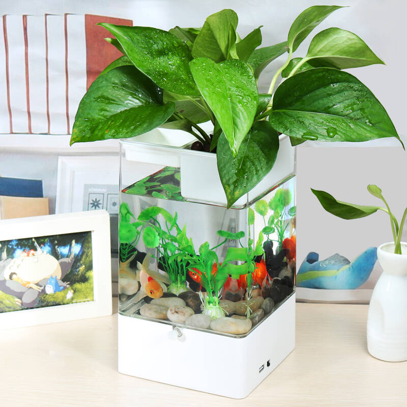 森森 塑料亚克力创意生态鱼缸