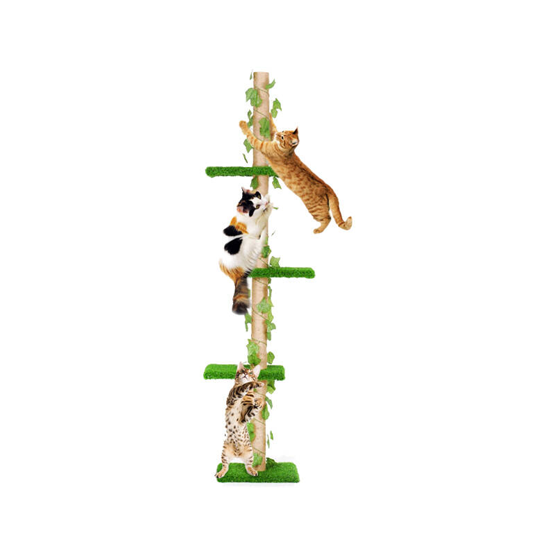 华元宠具 绿色森林猫爬架