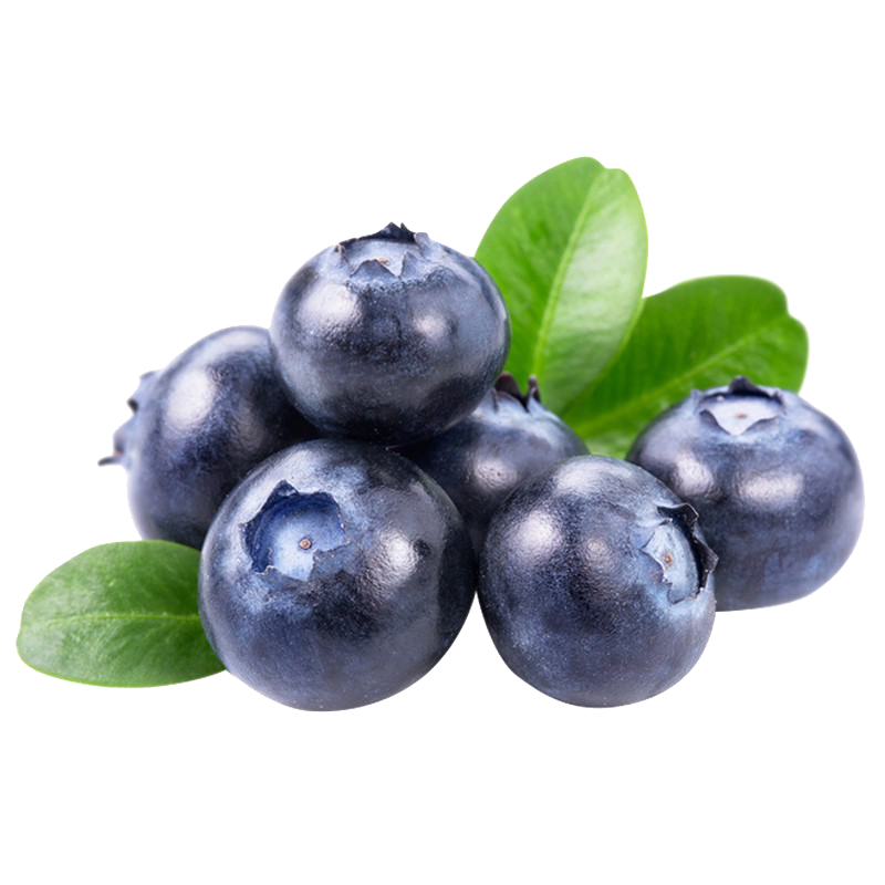 集鲜锋 美味营养蓝莓