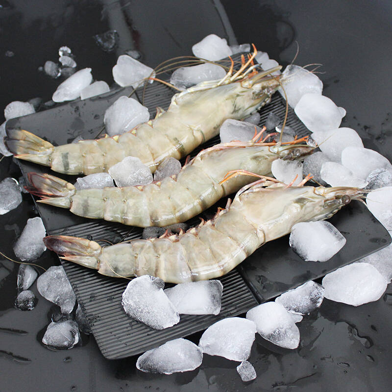 丰度 越南冷冻黑虎虾