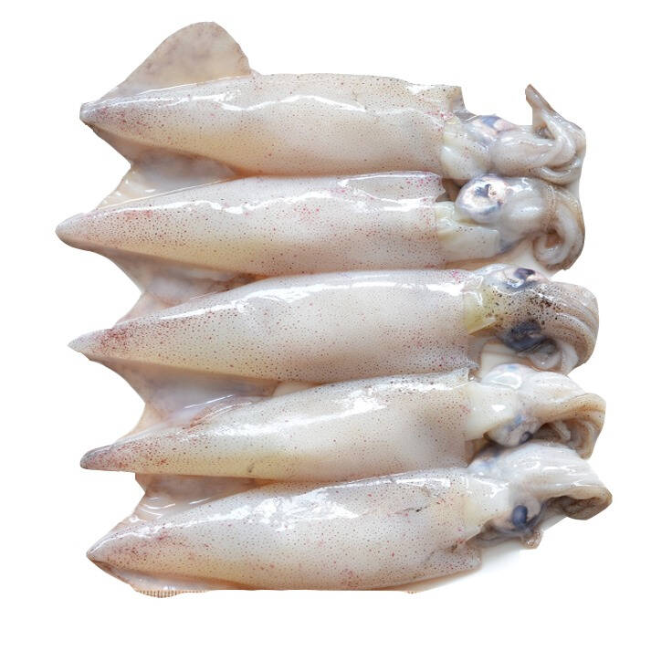 低脂高蛋白的鱿鱼排行榜10强