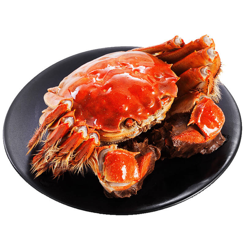 中国最好吃的螃蟹排行榜