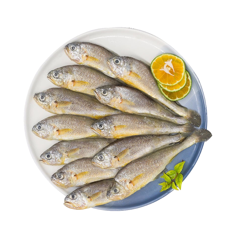 肉质嫩的鱼排行榜10强