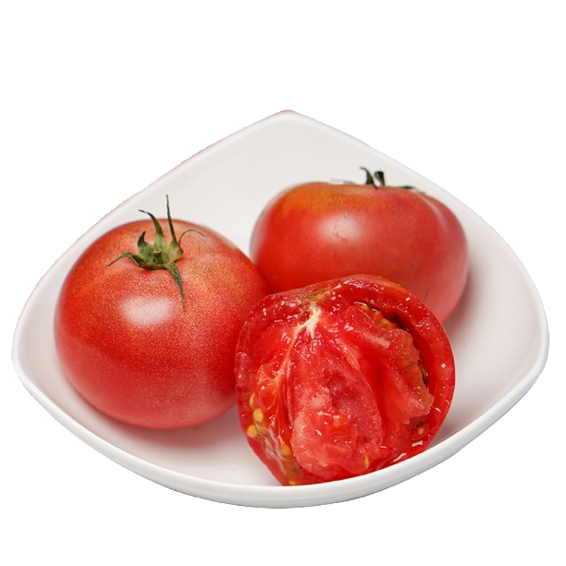塞外明珠 番茄西红柿