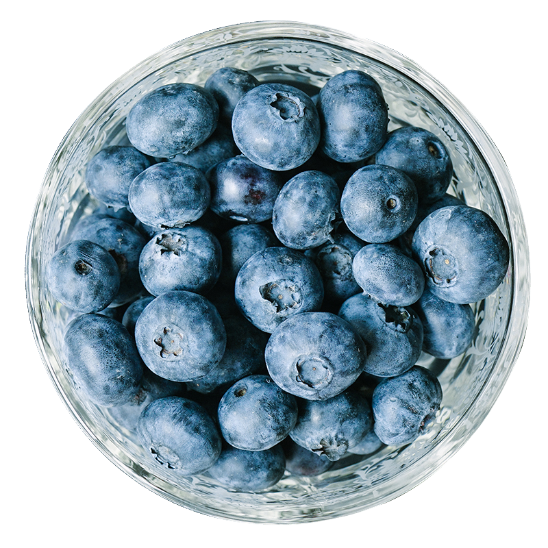果鲜水香 新鲜智利蓝莓