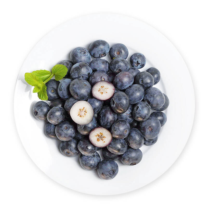 天然种植的蓝莓推荐2023