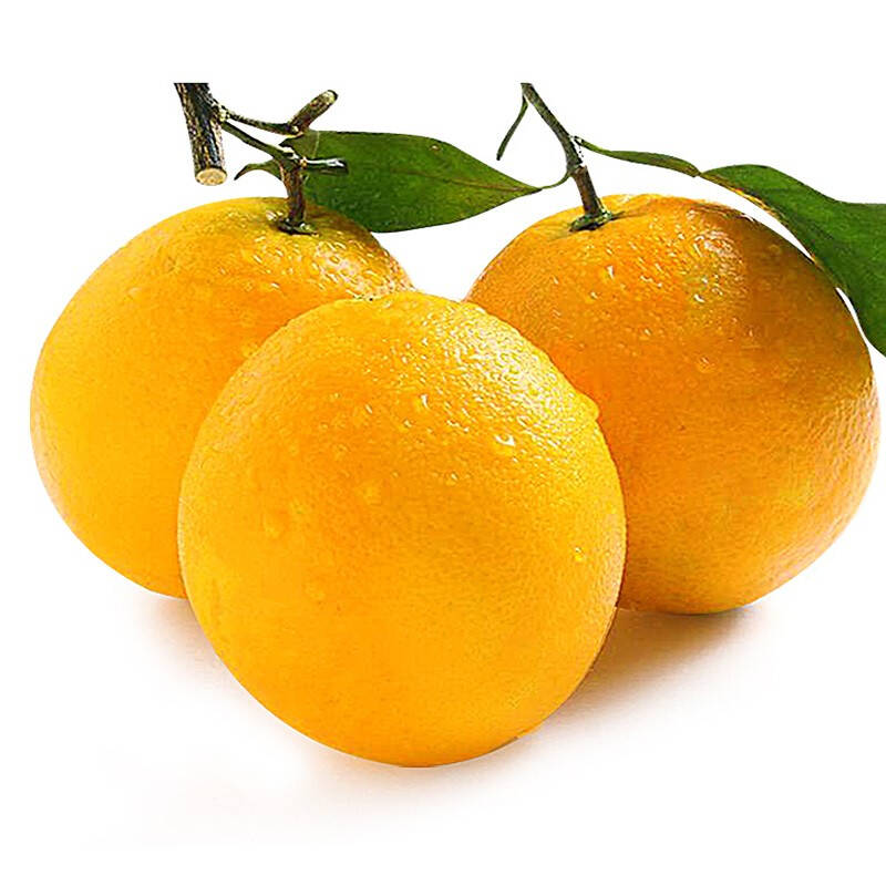 2023年中国最好吃的橙子排名
