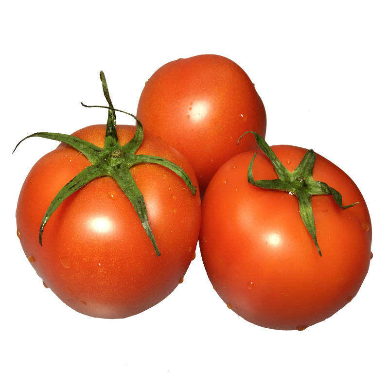 绿农说圆润大番茄