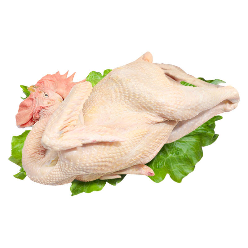 食裁 科学散养 鸡肉