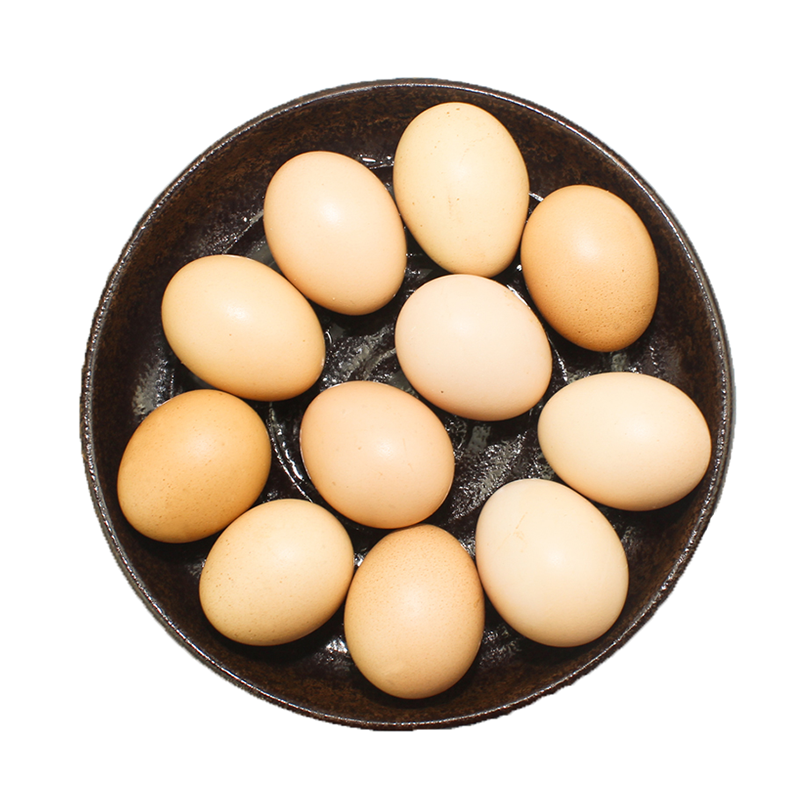 中国优质鸡蛋排名前十名