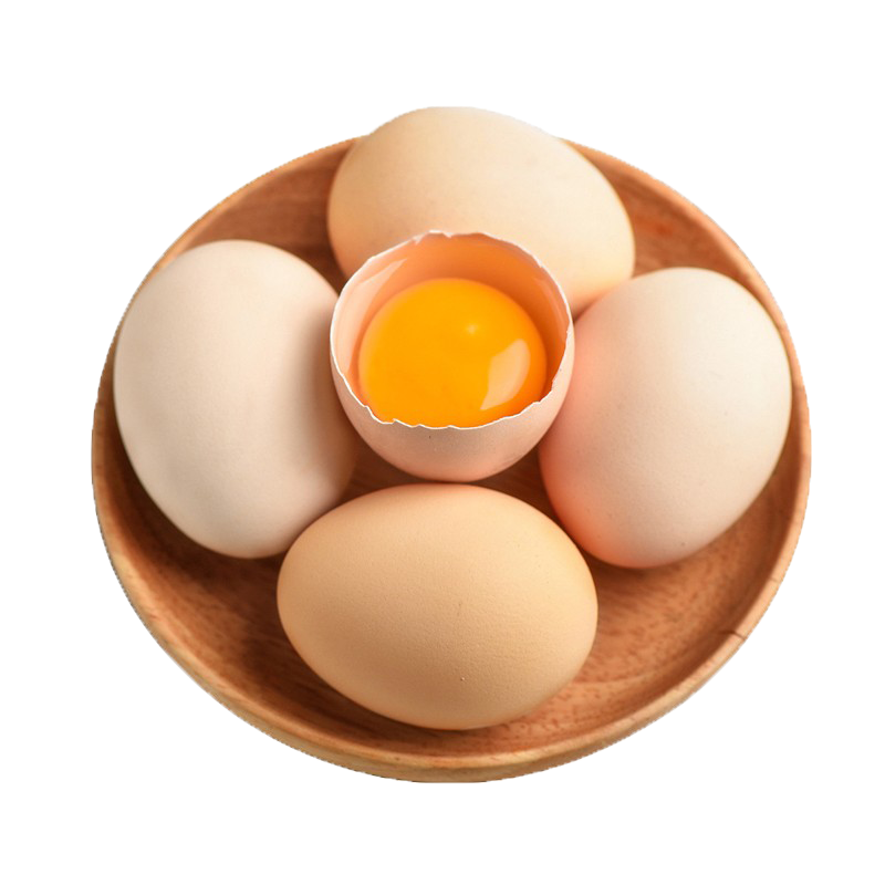 振豫 高营养新鲜土鸡蛋