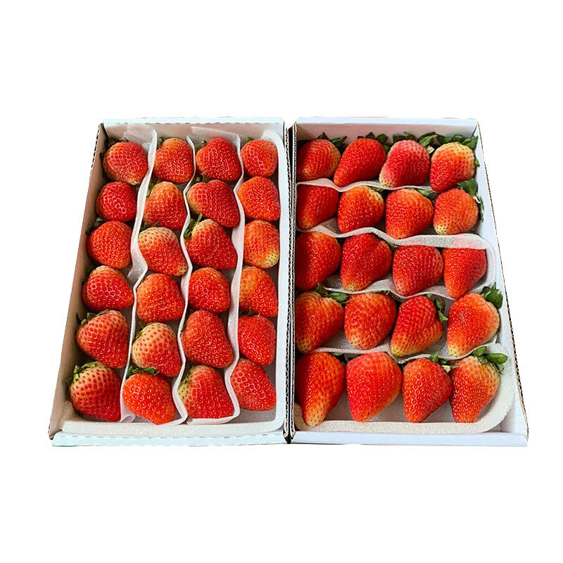 酷果汇夏季烘焙酸草莓