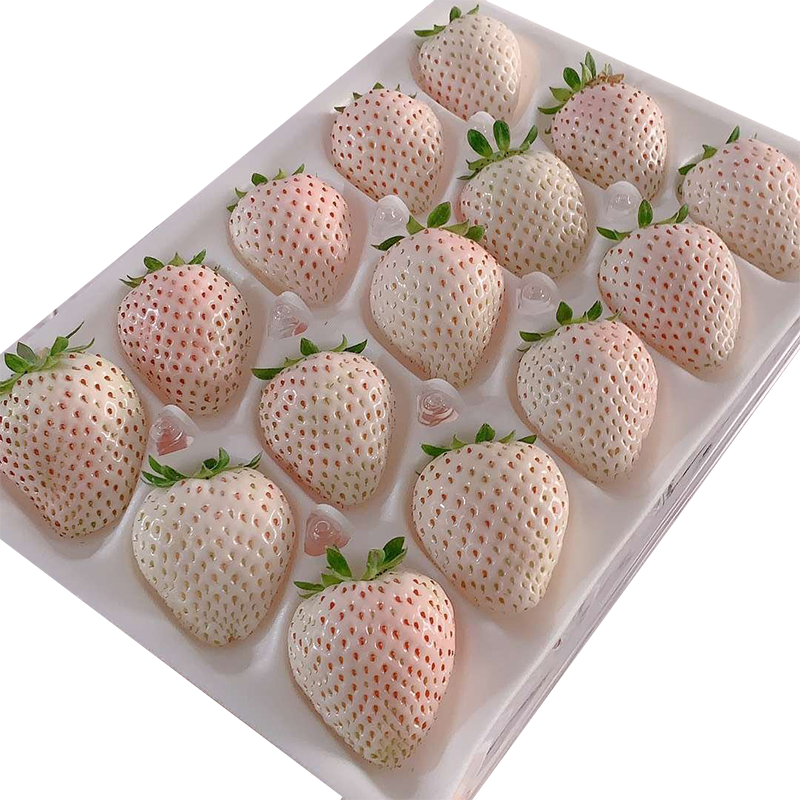 水果蔬菜日本淡雪白草莓
