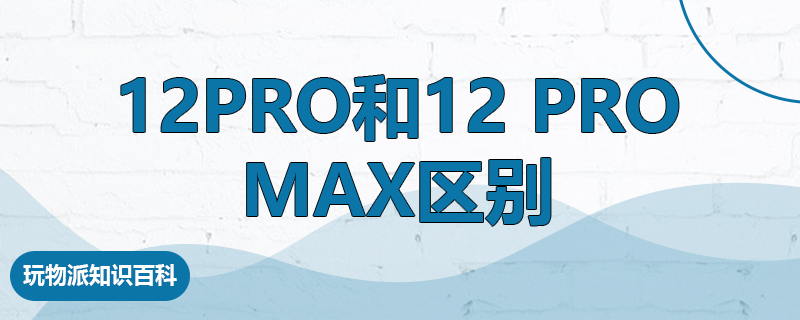 12pro和12 pro max区别