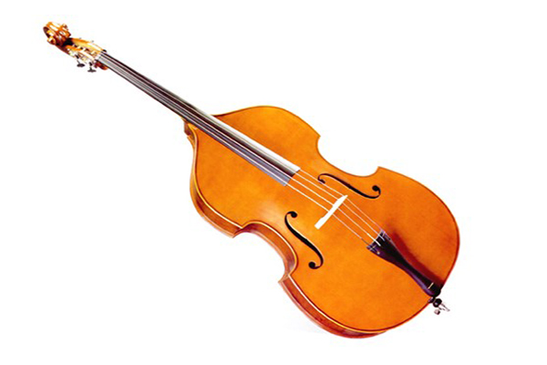 低音提琴和大提琴的区别