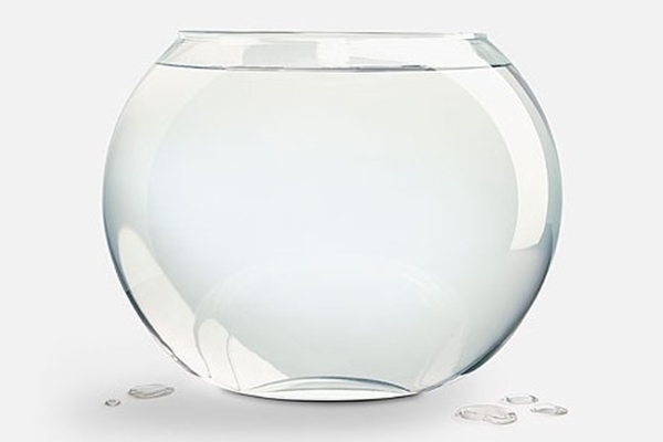 pet鱼缸和玻璃鱼缸哪个好