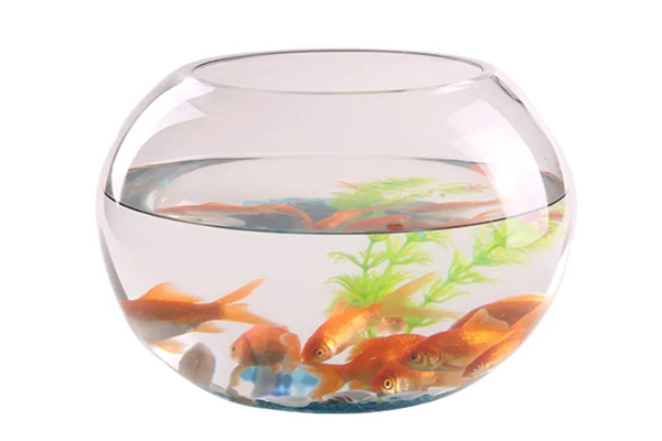 塑料鱼缸和玻璃鱼缸的区别