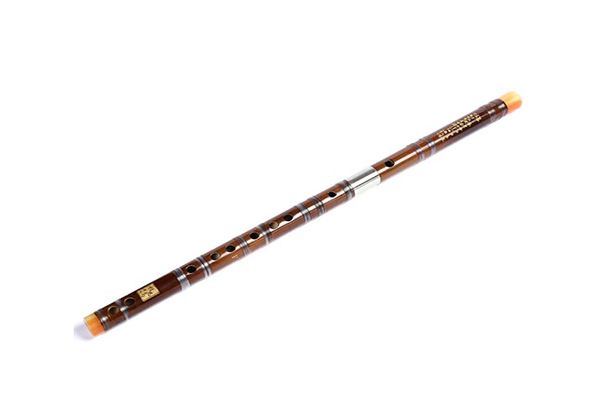 竹笛和竖笛哪个好学