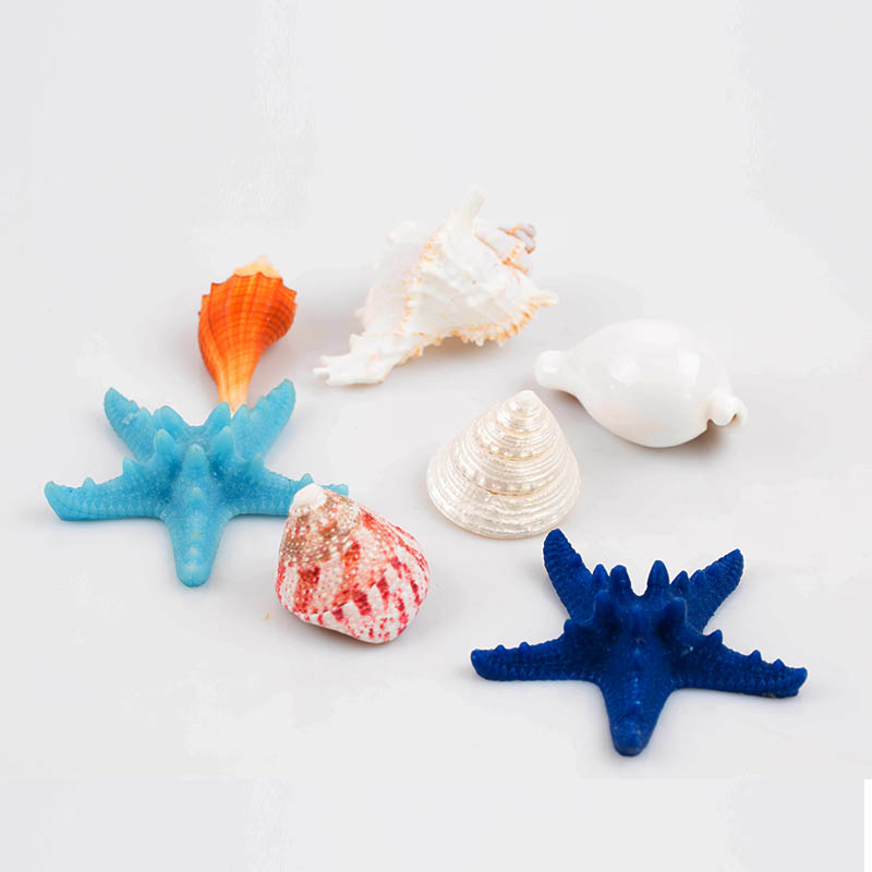 天然大海螺贝壳工艺品珊瑚石摆件鱼缸装饰品微景观创意海边小海星