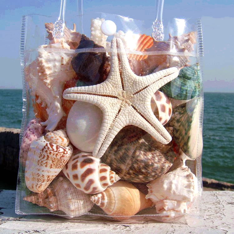 天然贝壳海螺海星珊瑚家居摆件鱼缸水族箱地台造景儿童玩具小礼物