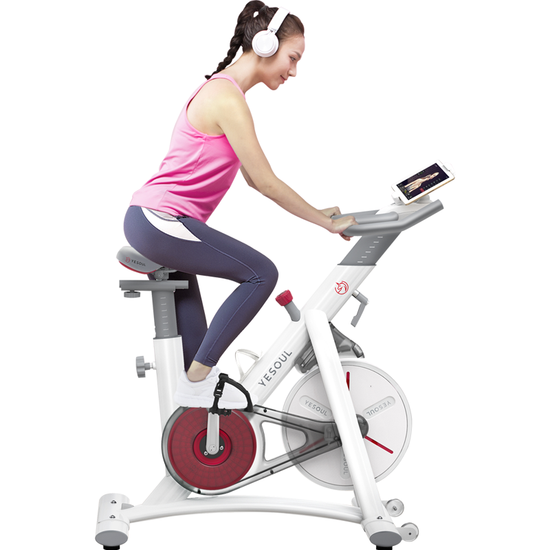 YESOUL野小兽动感单车家用运动健身房器材室内磁控健身车超静音S1