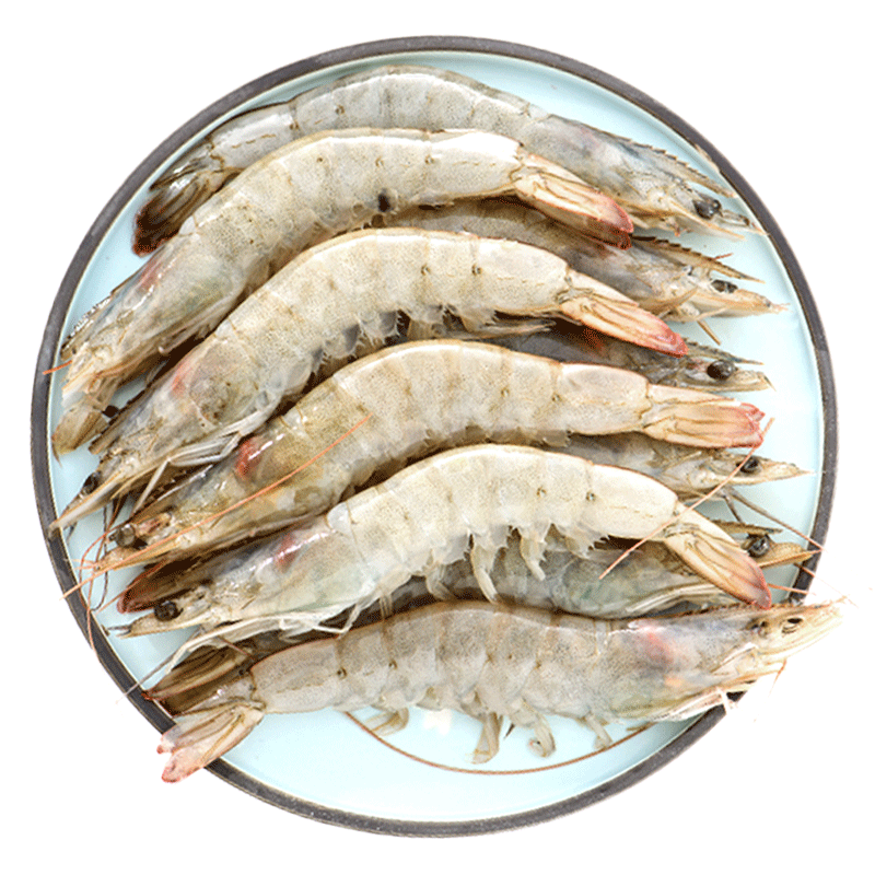 大洋世家厄瓜多尔4斤南美进口白虾