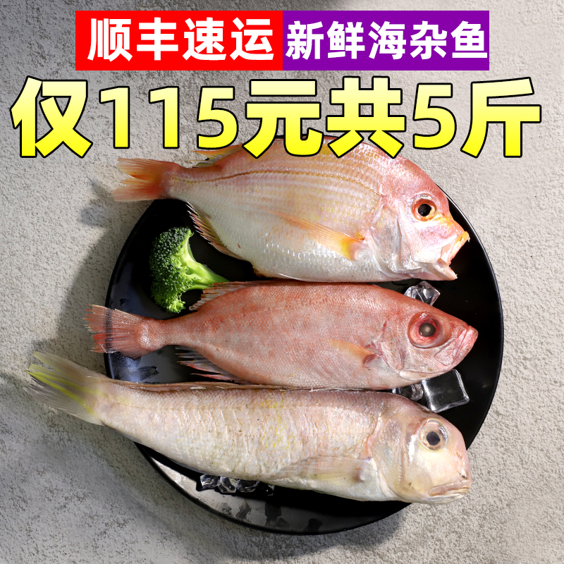 生鲜有约东海海鲜海杂鱼冻鱼类新鲜冷冻野生5斤深海鱼组合少刺鲜
