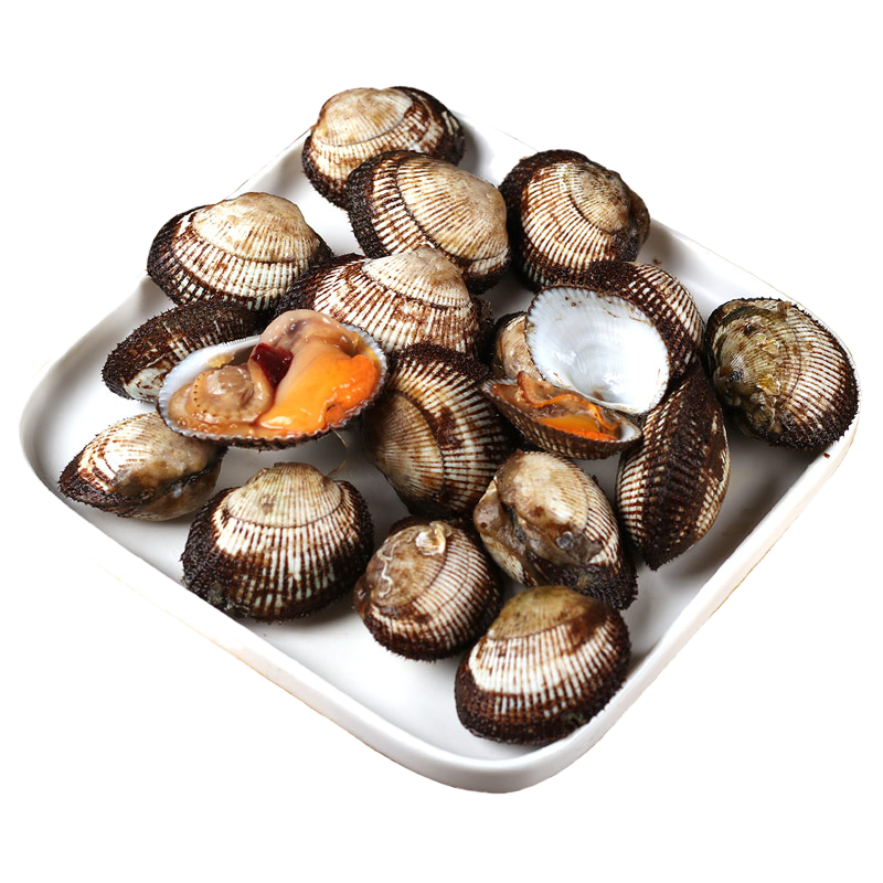 毛蚶血蚶4斤 毛蛤蜊 学蛤蜊 海鲜水产贝类野生无沙花蛤血蛤
