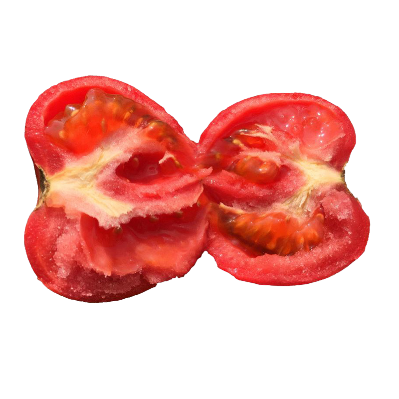 攀枝花西红柿5斤番茄农家新鲜蔬菜