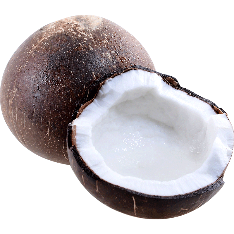 海南牛奶黑椰子6个新鲜当季椰青