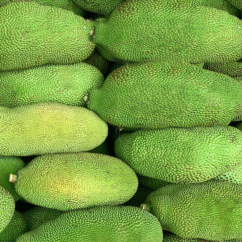 海南三亚菠萝蜜新鲜水果波罗蜜当季整箱特产20-40斤一整个包邮红