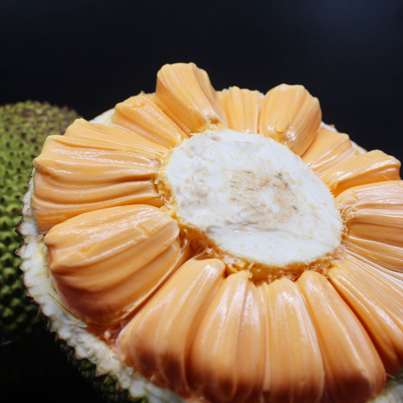 越南进口红肉4-18斤一整个菠萝蜜