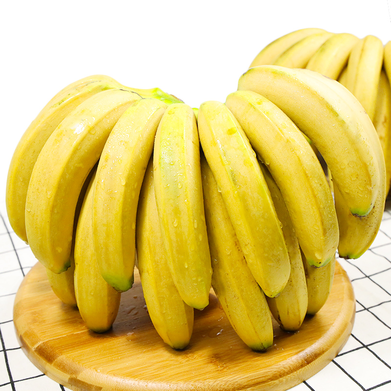 现摘云南香蕉新鲜10斤包邮广西米蕉