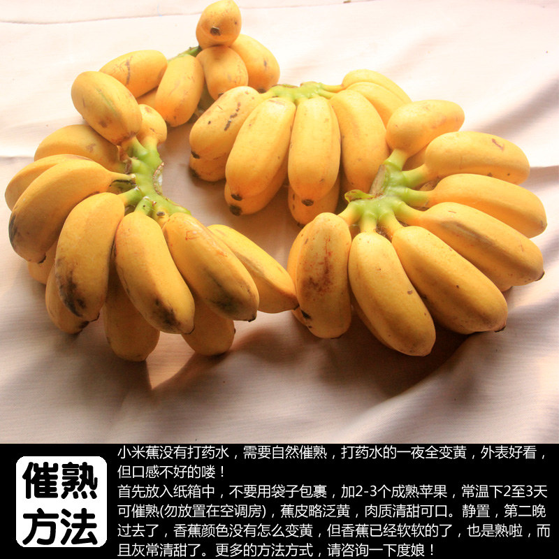 广西新鲜小带箱10斤海南帝王蕉米蕉