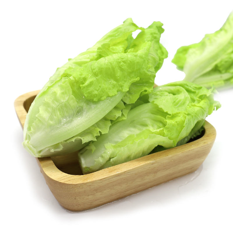 【绿行者】西班牙生菜新鲜蔬菜沙拉材料轻食叶菜类生菜500g