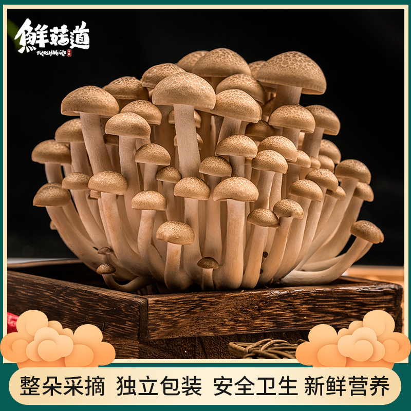 丰科鲜菇道新鲜食用火锅食材菌菇