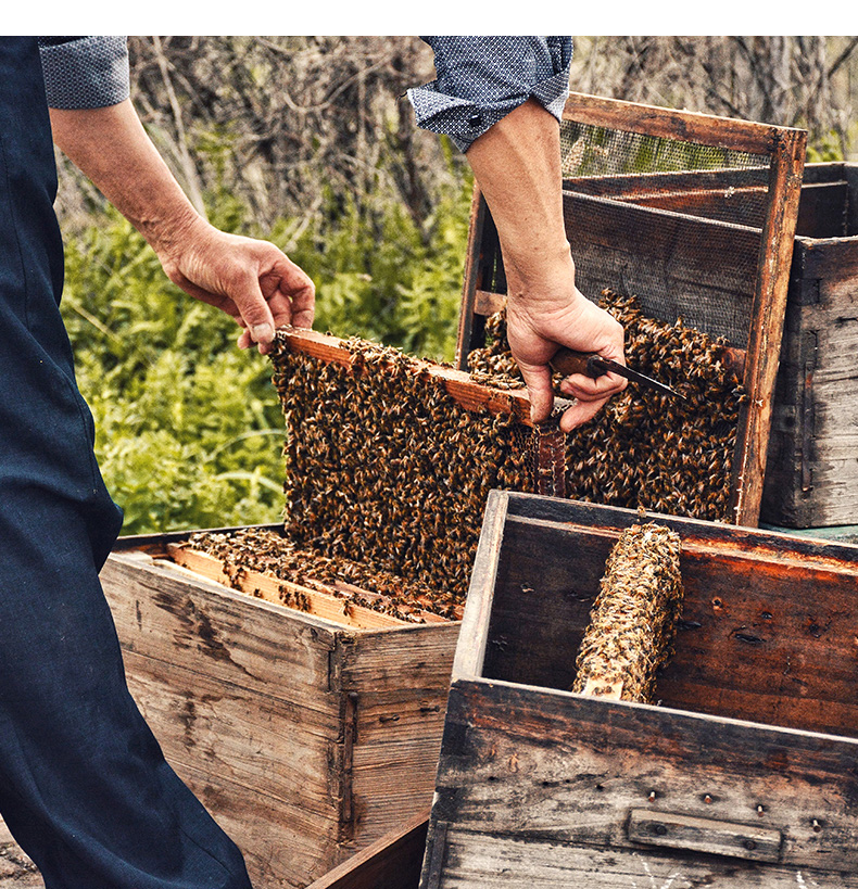 兰蜂堂纯正无添加天然品牌土蜂蜜