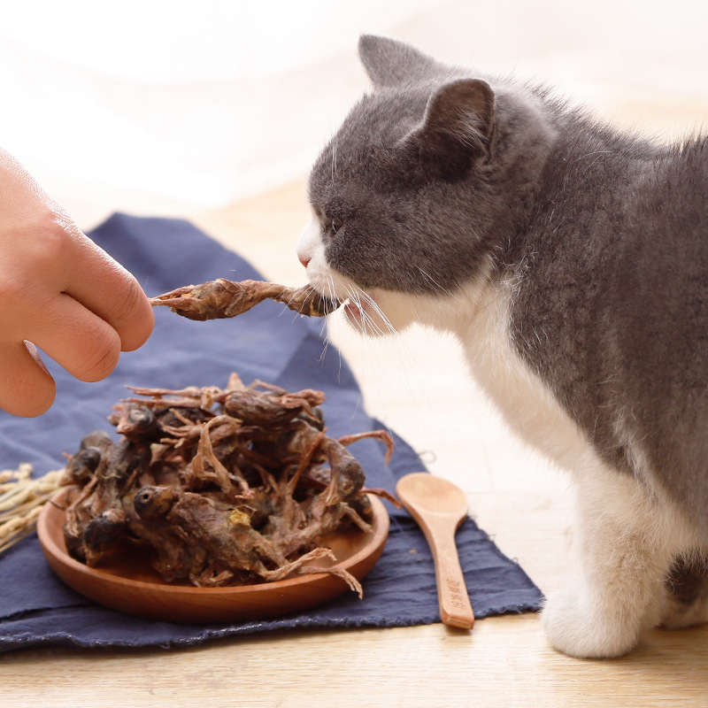 冻干鹌鹑宠物猫咪零食增肥发腮猫粮