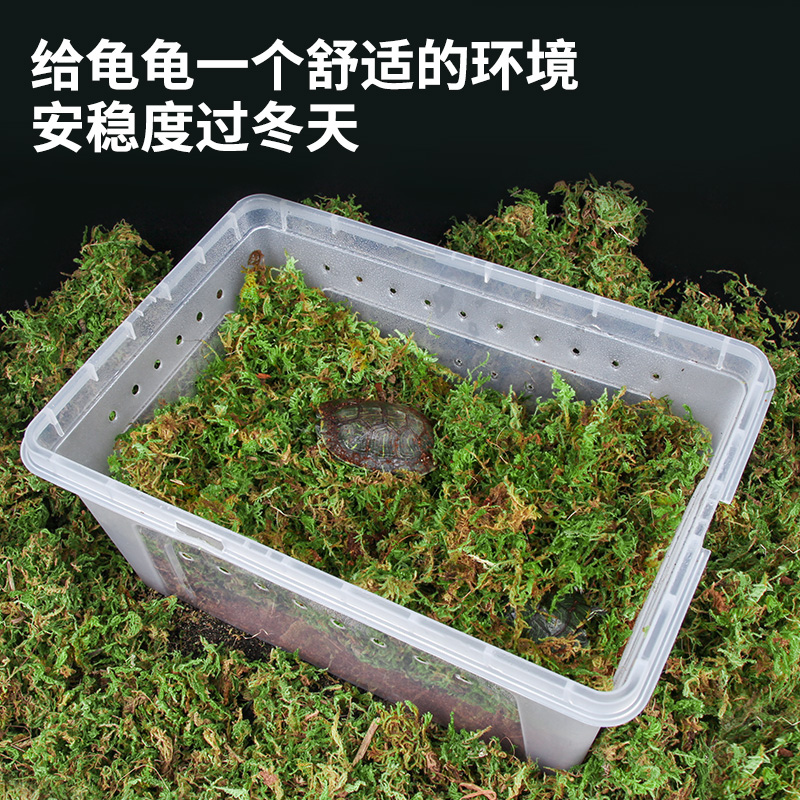 巴西龟冬眠用品椰土爬宠盒沙饲养箱