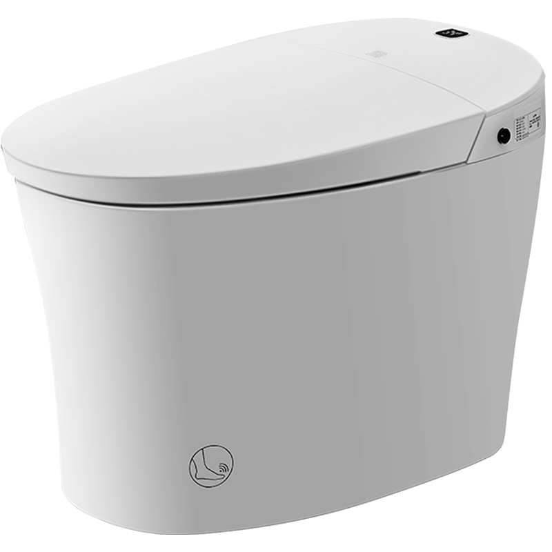 大白智能马桶一体式遥控全自动即热冲水座便电动家用卫生间坐便器