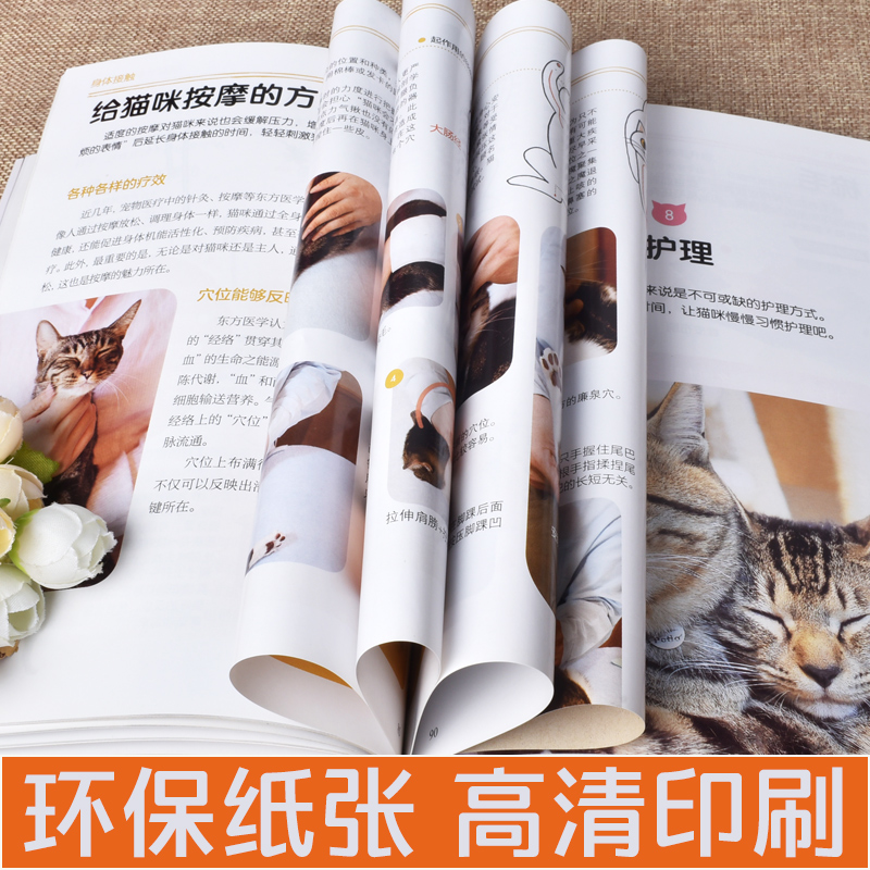 养猫萌猫养护全程指导大百科手册
